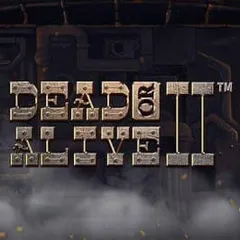 Dead or Alive 2 — Spinbara Casino